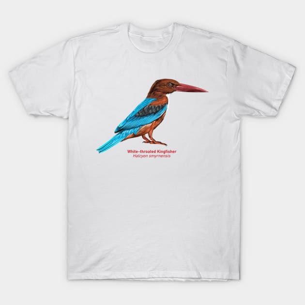 White-throated kingfisher | Halcyon smyrnensis T-Shirt by bona 